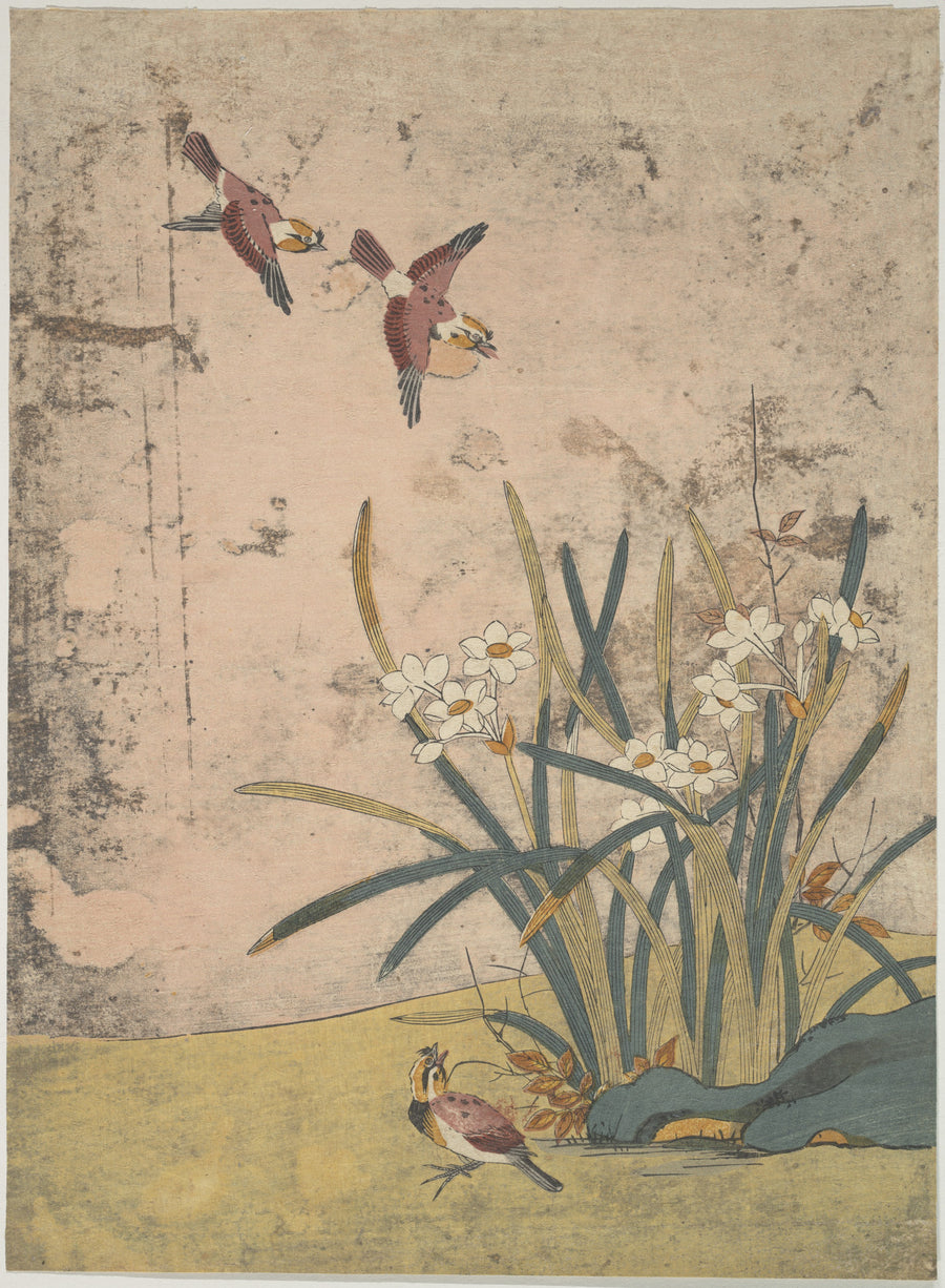 Birds and Narcissus by Suzuki Harunobu. Public domain, The Metropolitan Museum of Art Open Access.