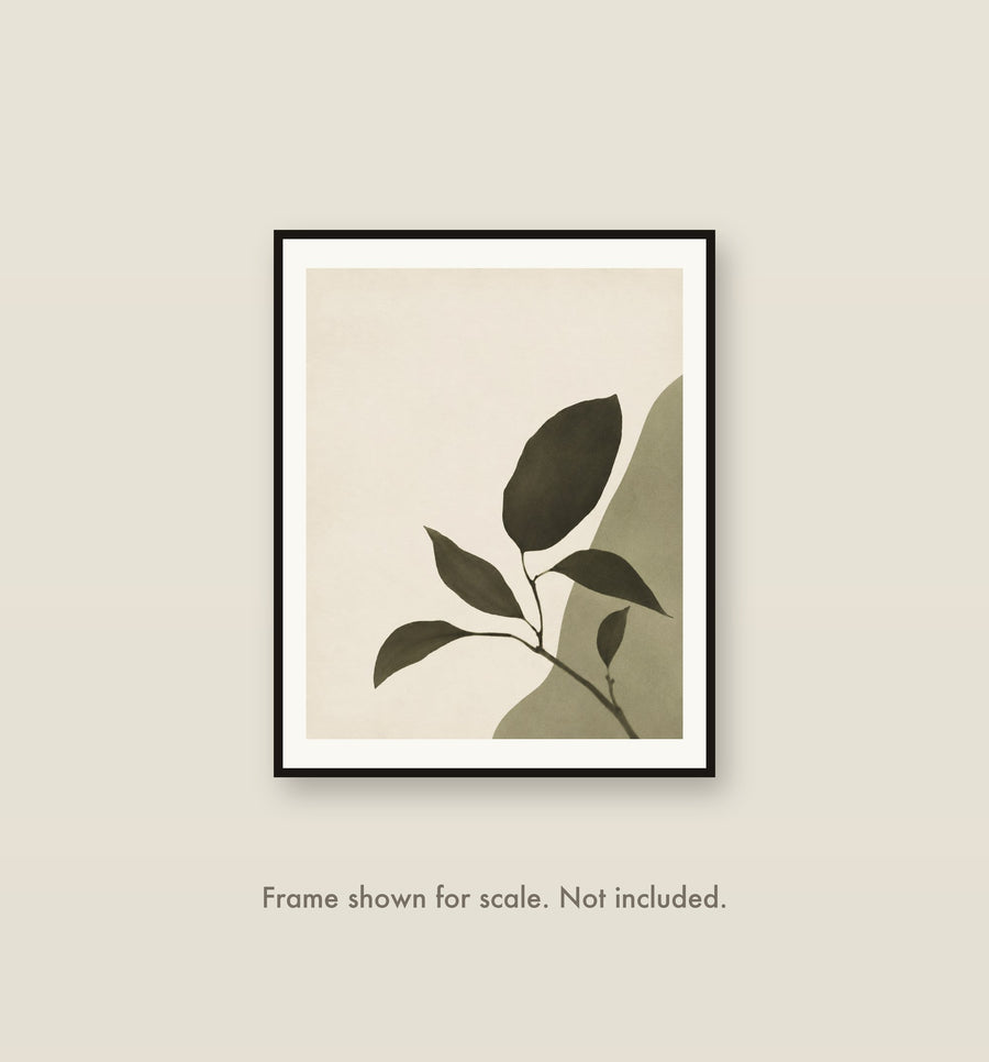 Botanical Silhouette shown framed on a wall at its 16 by 20 inch print size. Frame shown for scale and not included.