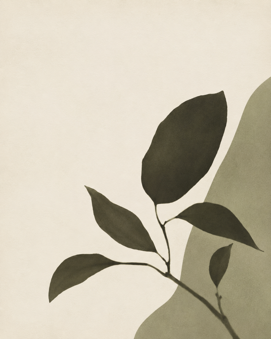 Botanical Silhouette, an OVREL print: an olive leaf stem in silhouette against bone and moss