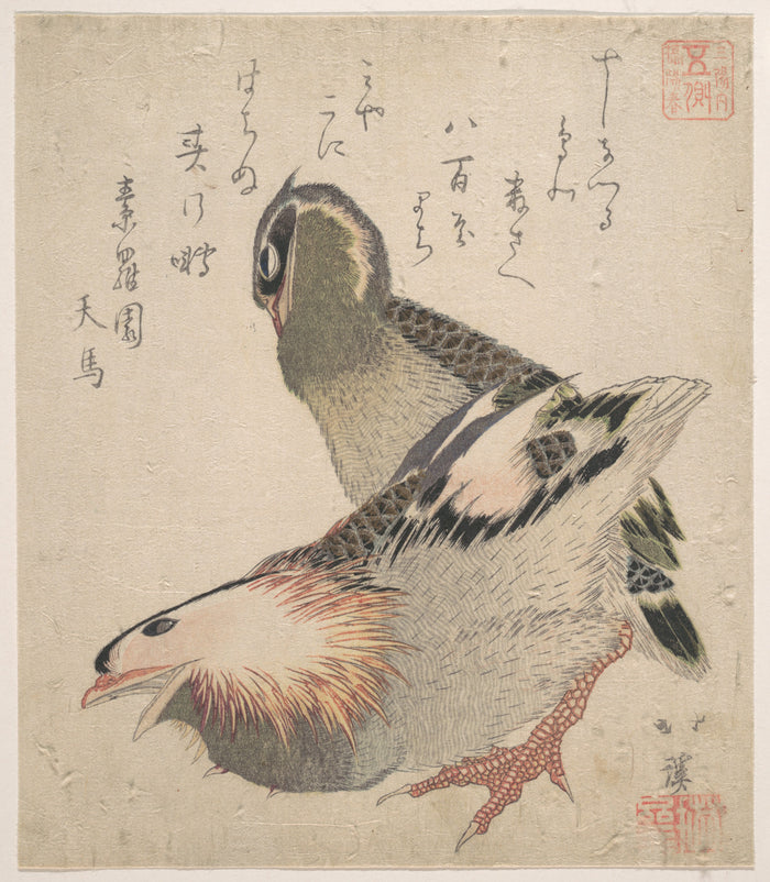 Two Birds — Archive Edition, shown at 12 x 16 in