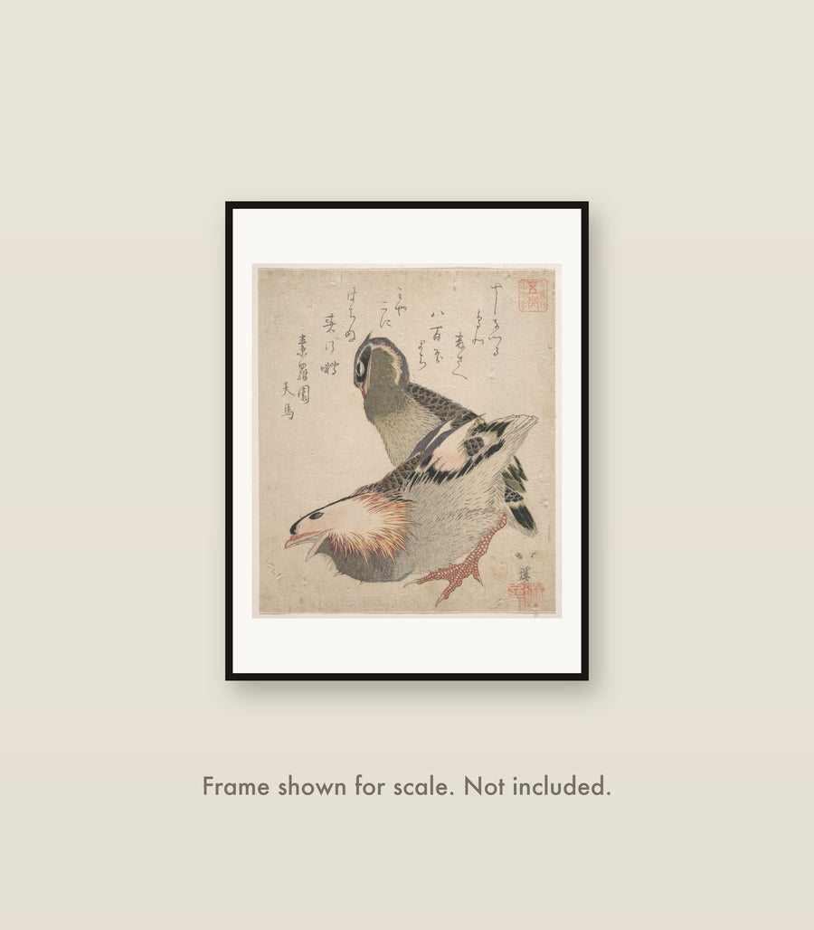 Two Birds shown framed on a wall at its 12 by 16 inch print size. Frame shown for scale and not included.