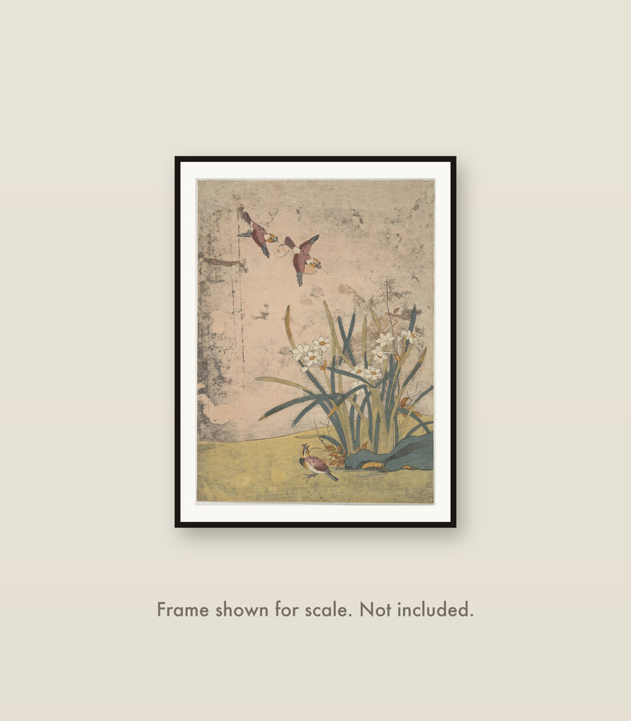 Birds and Narcissus shown framed on a wall at its 12 by 16 inch print size. Frame shown for scale and not included.