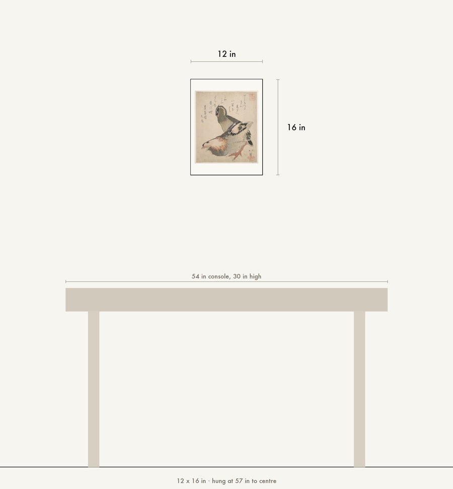 Scale drawing: this print at 12 by 16 inches shown above a 54 inch console, hung at 57 inches to centre.
