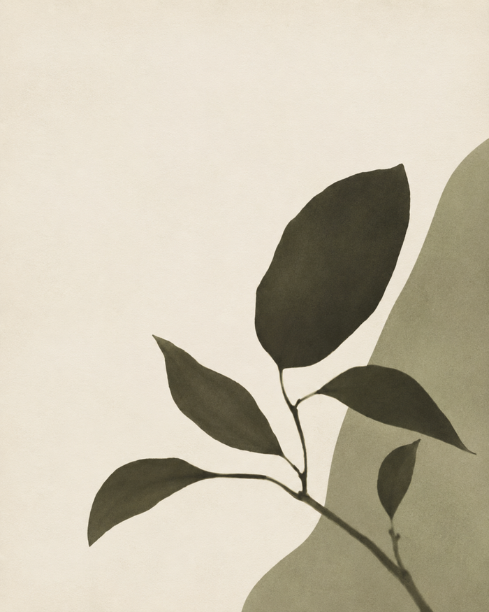 Botanical Silhouette, shown at 8 x 10 in