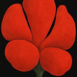Red Pod, Black Field, the unframed sheet