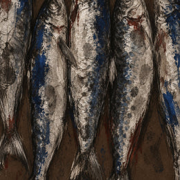 Silver Fish, the unframed sheet.